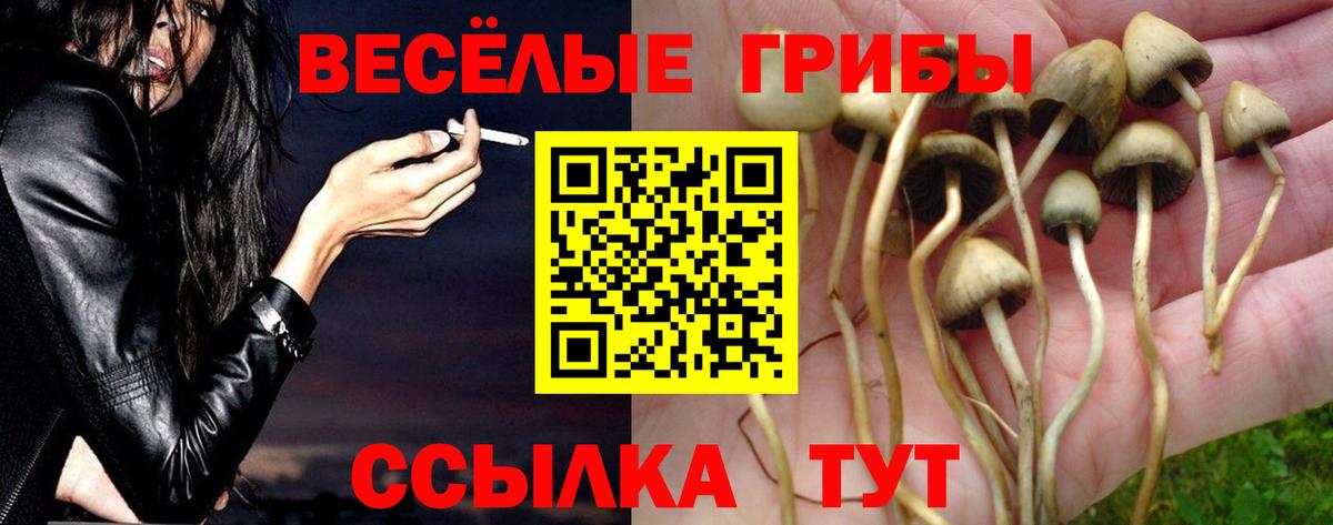 Псилоцибиновые грибы MAGIC MUSHROOMS Вышний Волочёк
